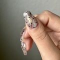 Airiの実績2