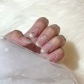 NAKATA KOTONEの実績2