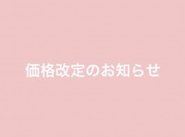 価格改定のお知らせ３