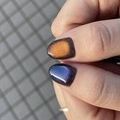 ERUNAの実績2
