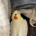 TERASAKI MAMAMIの実績2