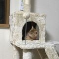 KIKUCHI NANAの実績4