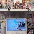 ANATA RISAの実績2