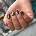 Nemoの実績1